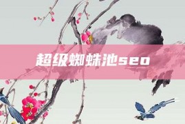 超级蜘蛛池seo