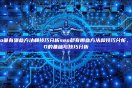 seo都有哪些方法和技巧分析seo都有哪些方法和技巧分析，SEO的基础与技巧分析