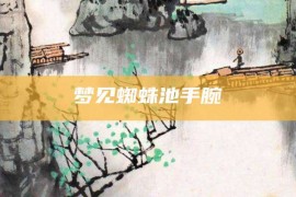 梦见蜘蛛池手腕