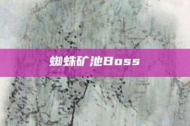 蜘蛛矿池Boss