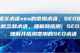 seo相关术语seo的常用术语，SEO优化的基本概念和术语，理解和应用| SEO技巧，理解并应用常用的SEO术语