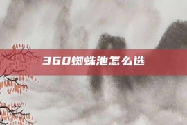 360蜘蛛池怎么选