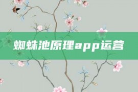 蜘蛛池原理app运营