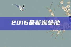 2016最新蜘蛛池