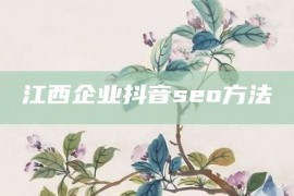 江西企业抖音seo方法