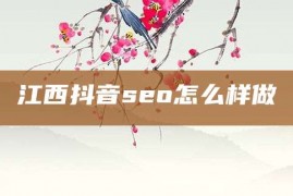 江西抖音seo怎么样做