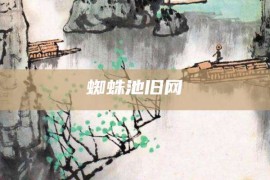 蜘蛛池旧网