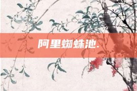 阿里蜘蛛池.