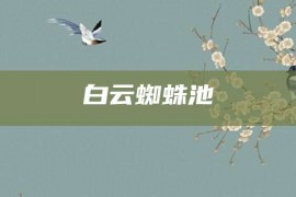 白云蜘蛛池