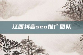 江西抖音seo推广团队