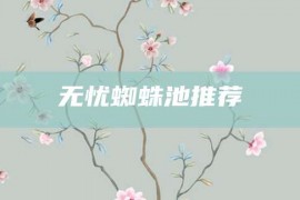 无忧蜘蛛池推荐