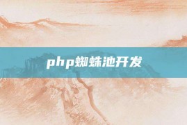 php蜘蛛池开发