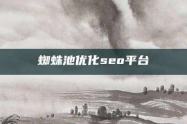 蜘蛛池优化seo平台