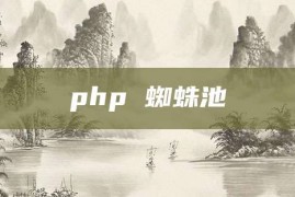 php 蜘蛛池