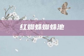 红蜘蛛蜘蛛池