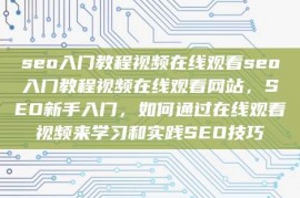 seo入门教程视频在线观看seo入门教程视频在线观看网站，SEO新手入门，如何通过在线观看视频来学习和实践SEO技巧