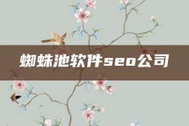 蜘蛛池软件seo公司