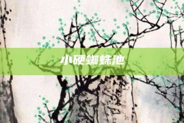 小硬蜘蛛池