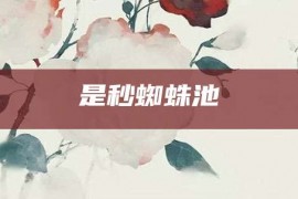 是秒蜘蛛池