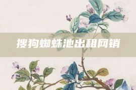 搜狗蜘蛛池出租网销