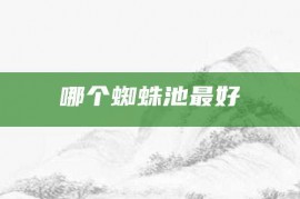 哪个蜘蛛池最好