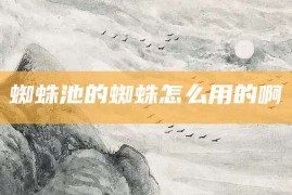 蜘蛛池的蜘蛛怎么用的啊