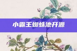 小霸王蜘蛛池开源