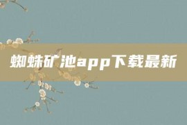 蜘蛛矿池app下载最新