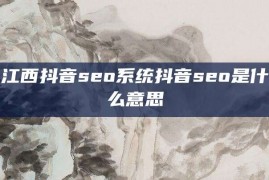 江西抖音seo系统抖音seo是什么意思