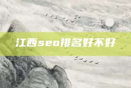 江西seo排名好不好