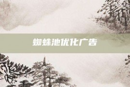 蜘蛛池优化广告