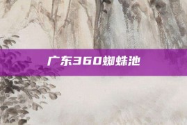 广东360蜘蛛池