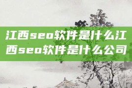 江西seo软件是什么江西seo软件是什么公司