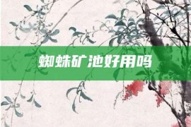 蜘蛛矿池好用吗