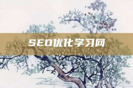 SEO优化学习网