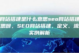 seo网站搭建是什么意思seo网站搭建是什么意思呀，SEO网站搭建，定义、流程与实例解析