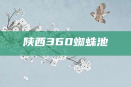 陕西360蜘蛛池