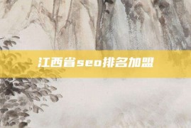 江西省seo排名加盟