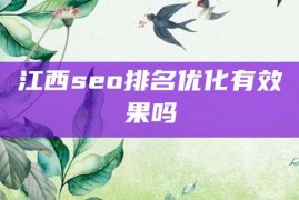 江西seo排名优化有效果吗