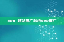 seo 建站推广站内seo推广