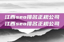 江西seo排名正规公司江西seo排名正规公司