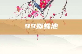 99蜘蛛池