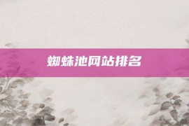 蜘蛛池网站排名