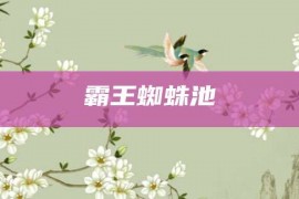 霸王蜘蛛池