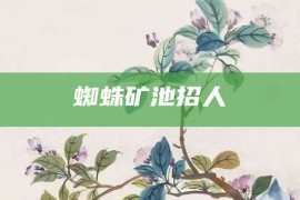 蜘蛛矿池招人