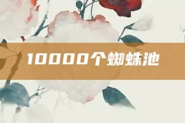 10000个蜘蛛池