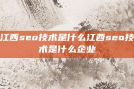 江西seo技术是什么江西seo技术是什么企业