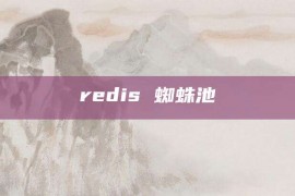 redis 蜘蛛池