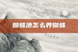 蜘蛛池怎么养蜘蛛