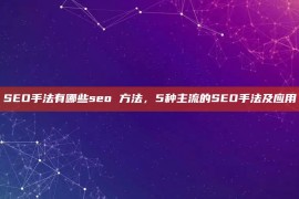 SEO手法有哪些seo 方法，5种主流的SEO手法及应用